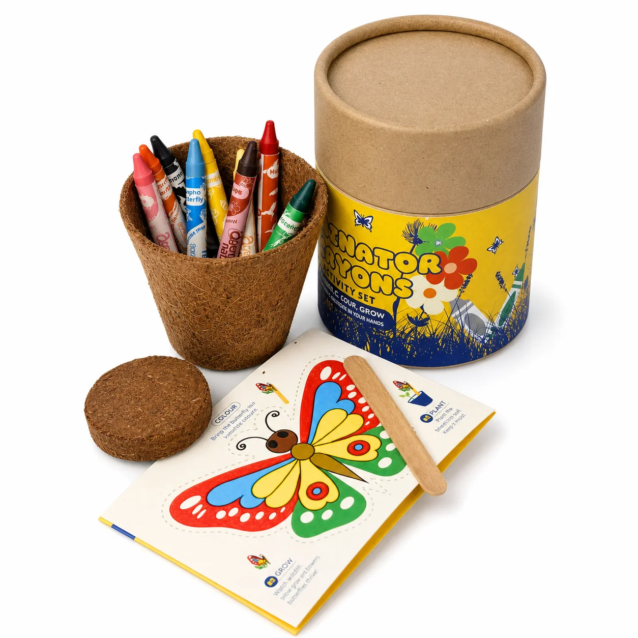 3D Butterfly Grow Craft Kit