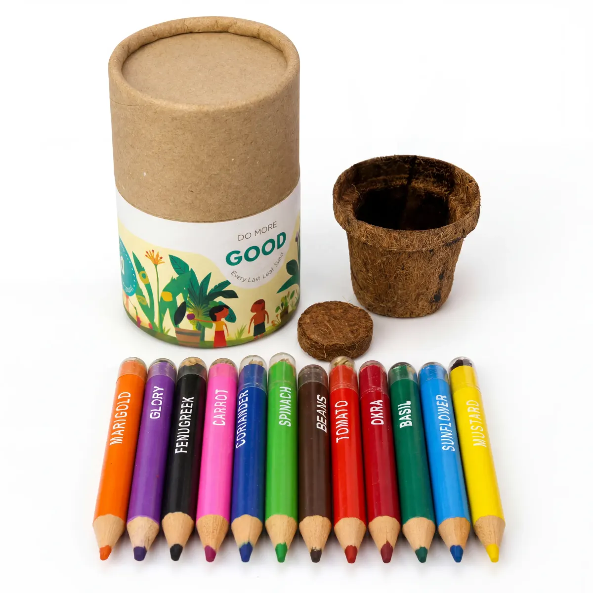 Colour Plant Grow Kit, 12 Colouring Seed Pencils