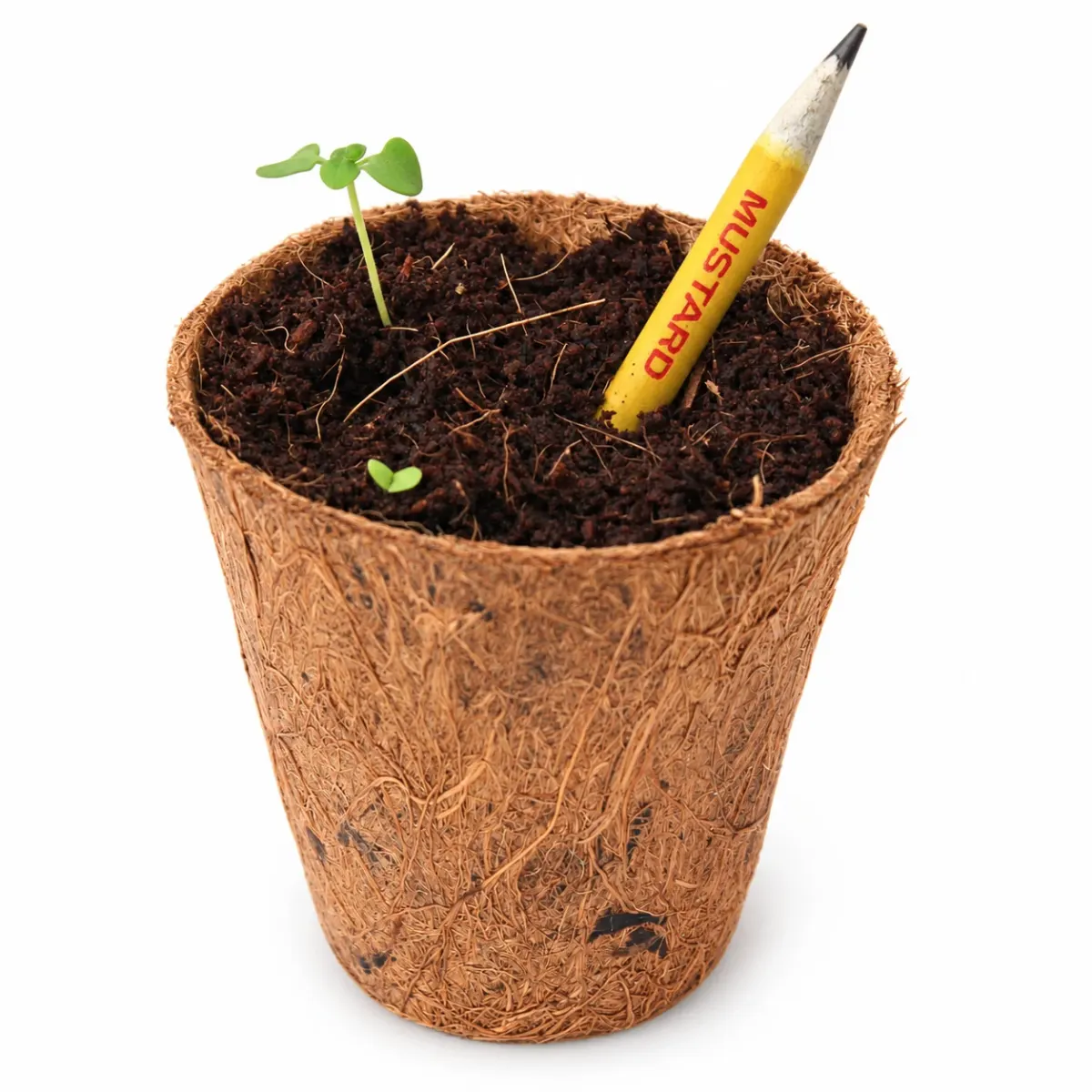 Plantable Seed Pencil, another view