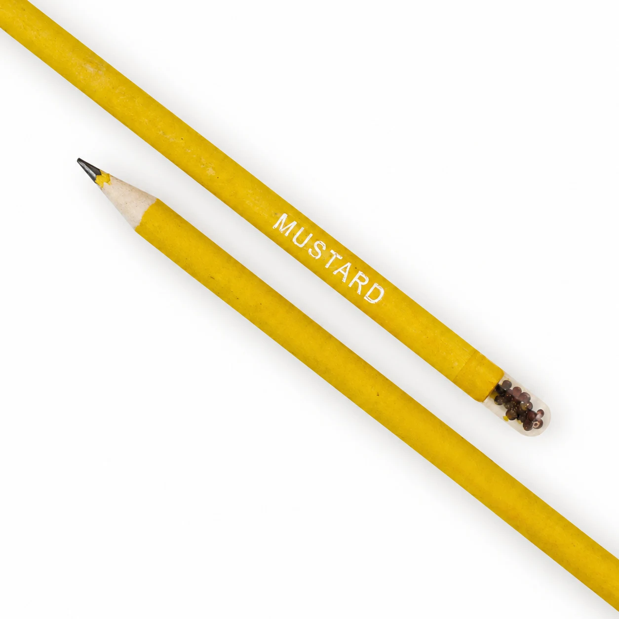 Plantable Seed Pencil, another view