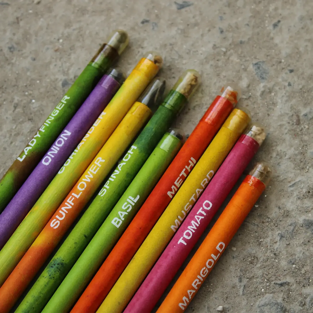 Plantable Seed Pencil, Set of 12, another view