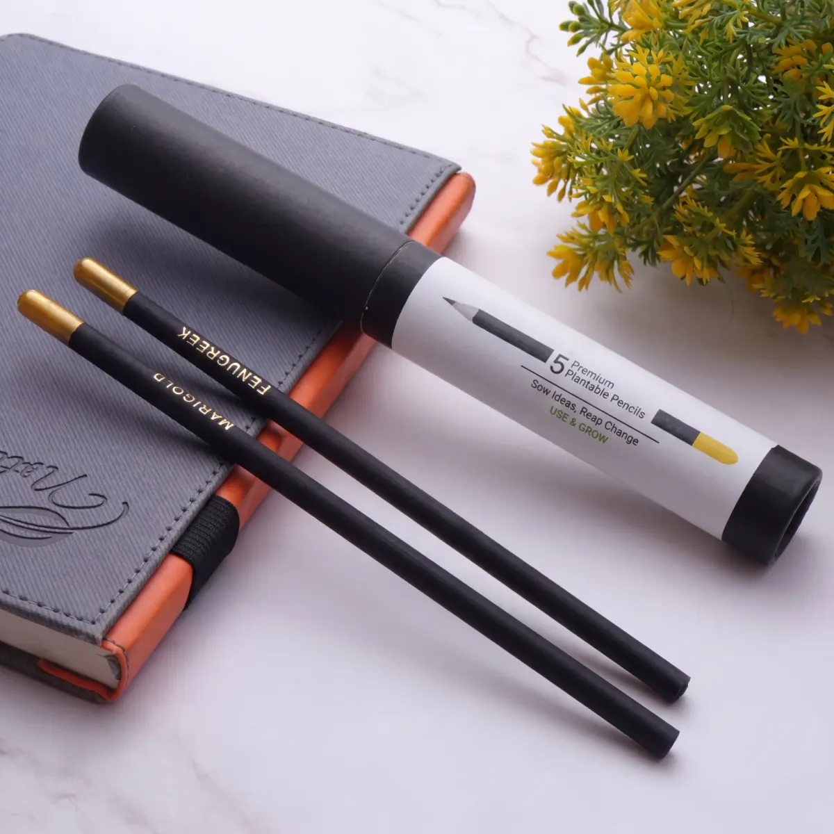 Premium Plantable Pencil Set, 5 Pieces, in use
