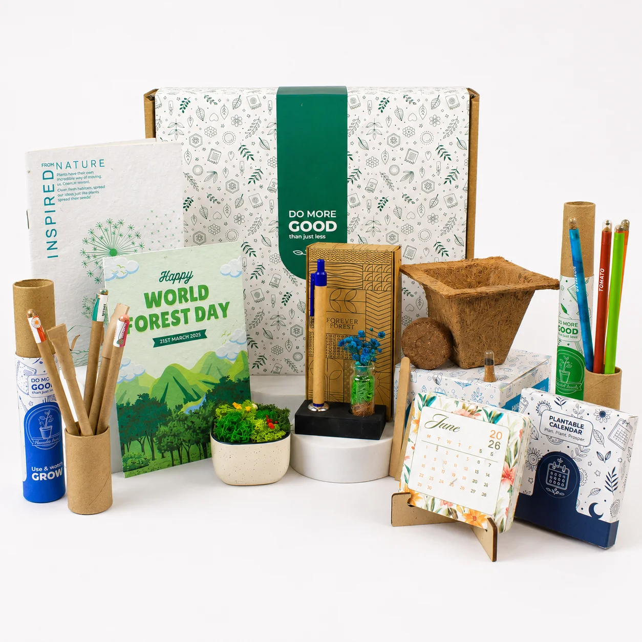 Forest & Grow Desk Activity Box