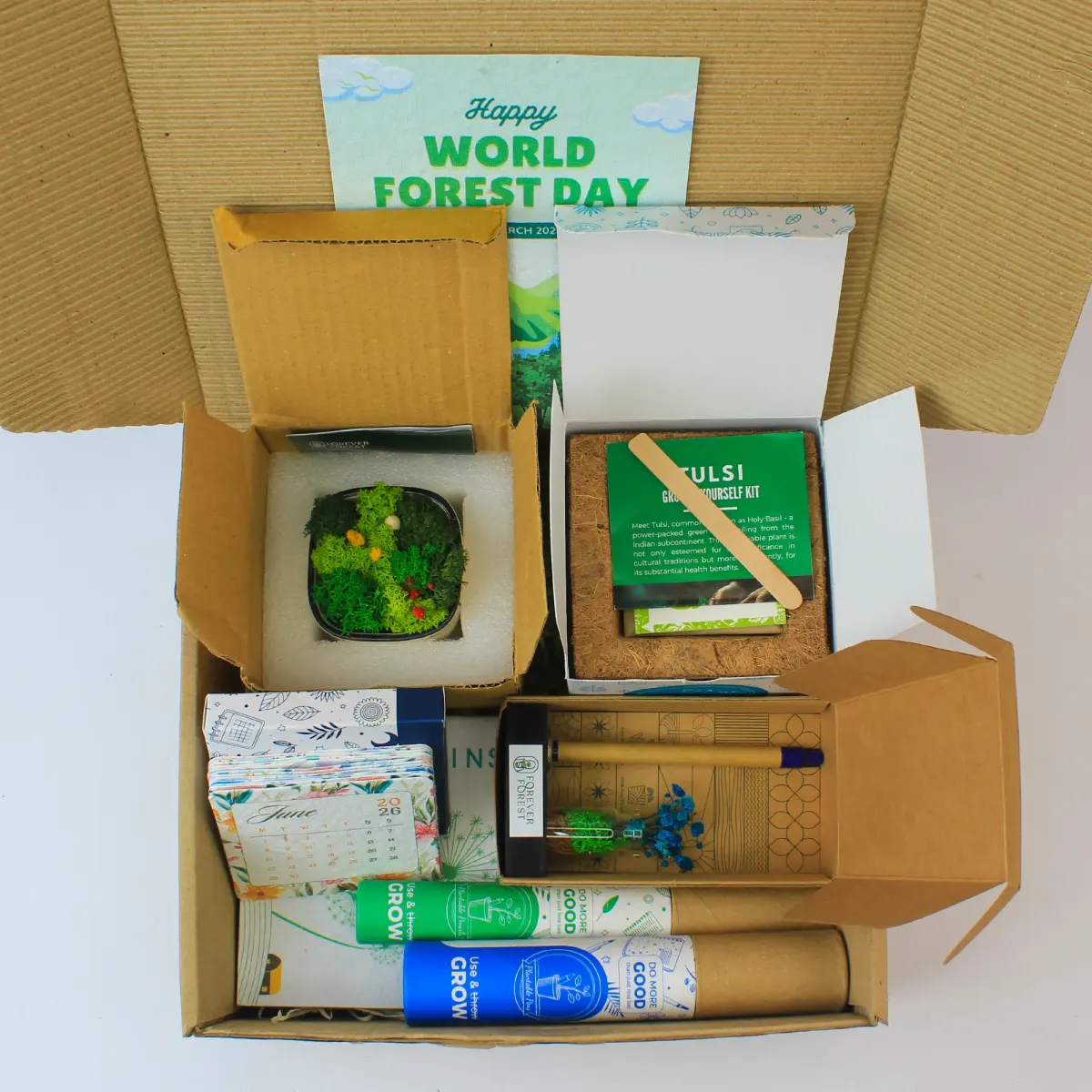 Forest Bowl, Grow Kit, Pencils and Calendar Activity Box, another view