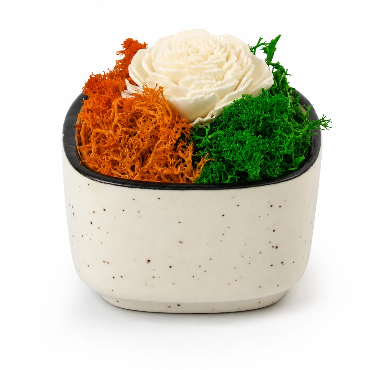 Ceramic Forest Bowl (India)