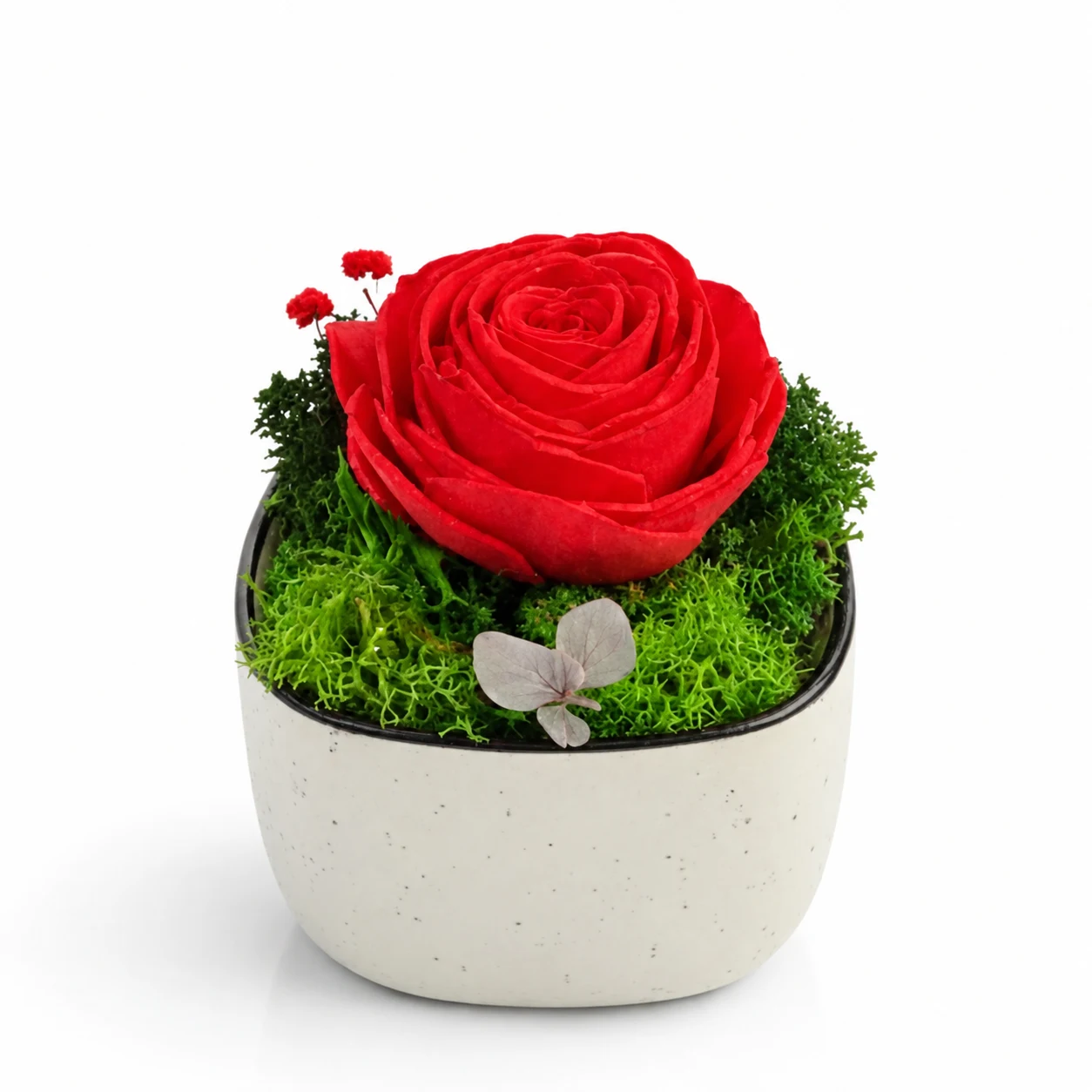 Ceramic Forest Rose Pod, another view