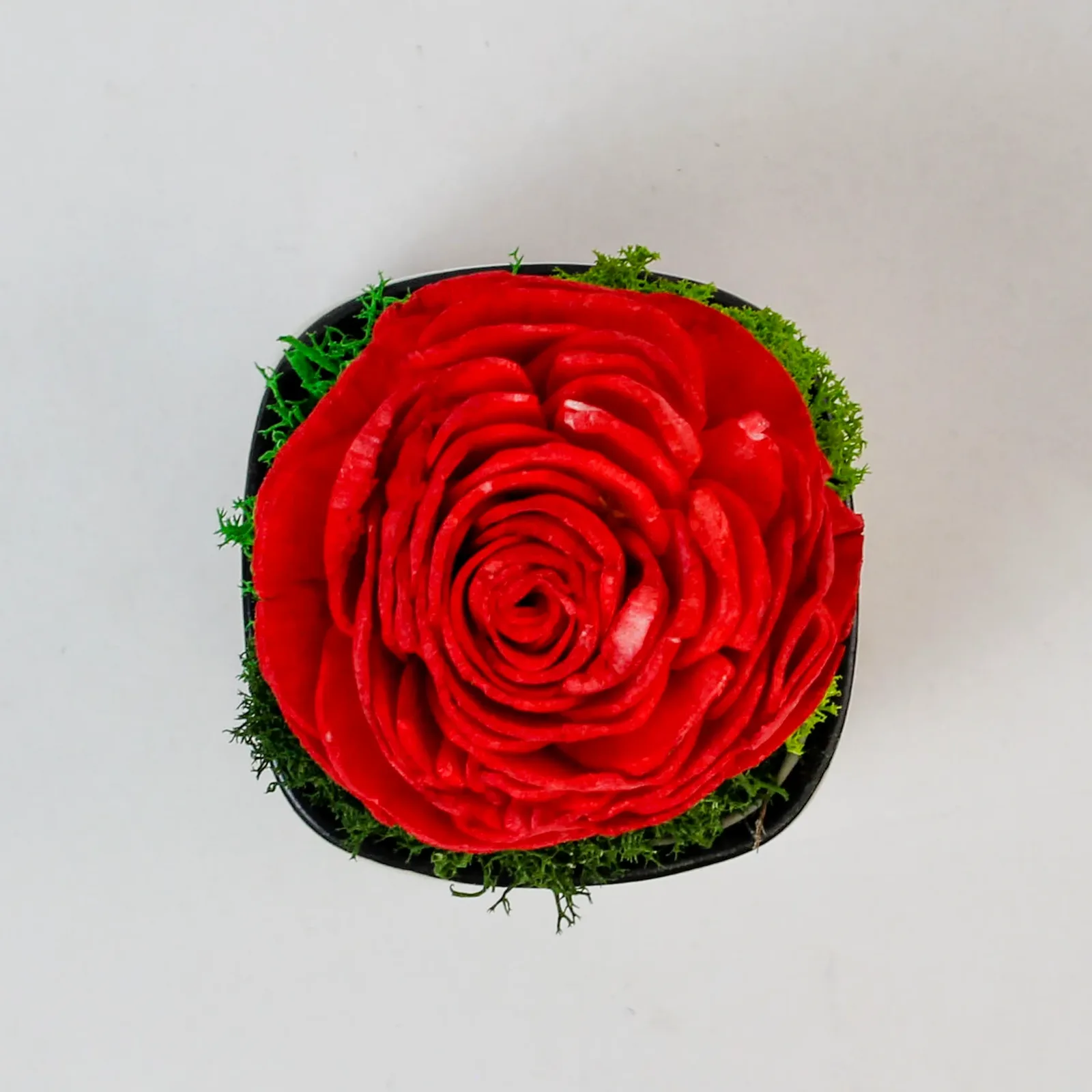 Top-down close view of the hand-crafted red shola rose and green preserved moss