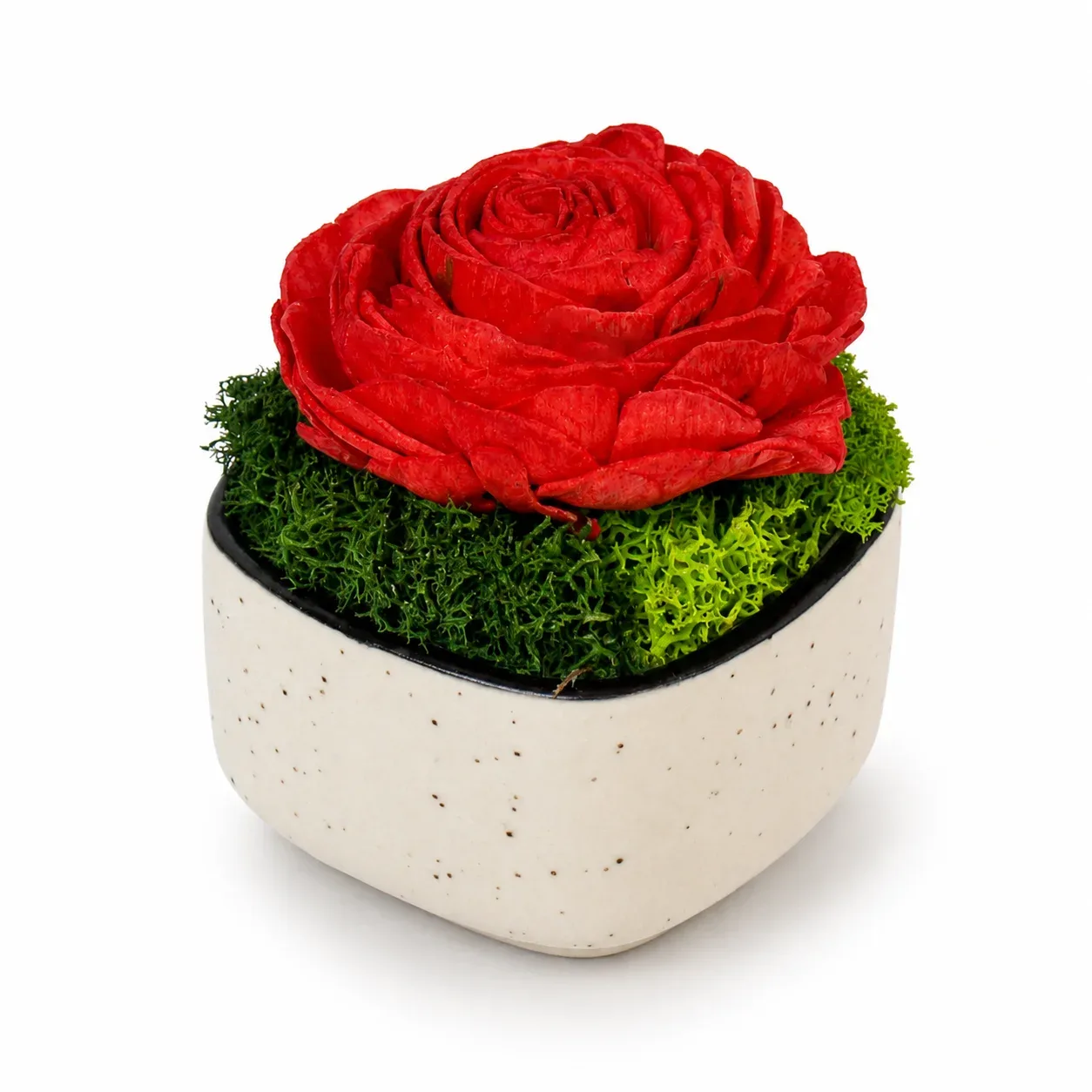 Three-inch speckled ceramic bowl with preserved moss and a red hand-crafted shola rose