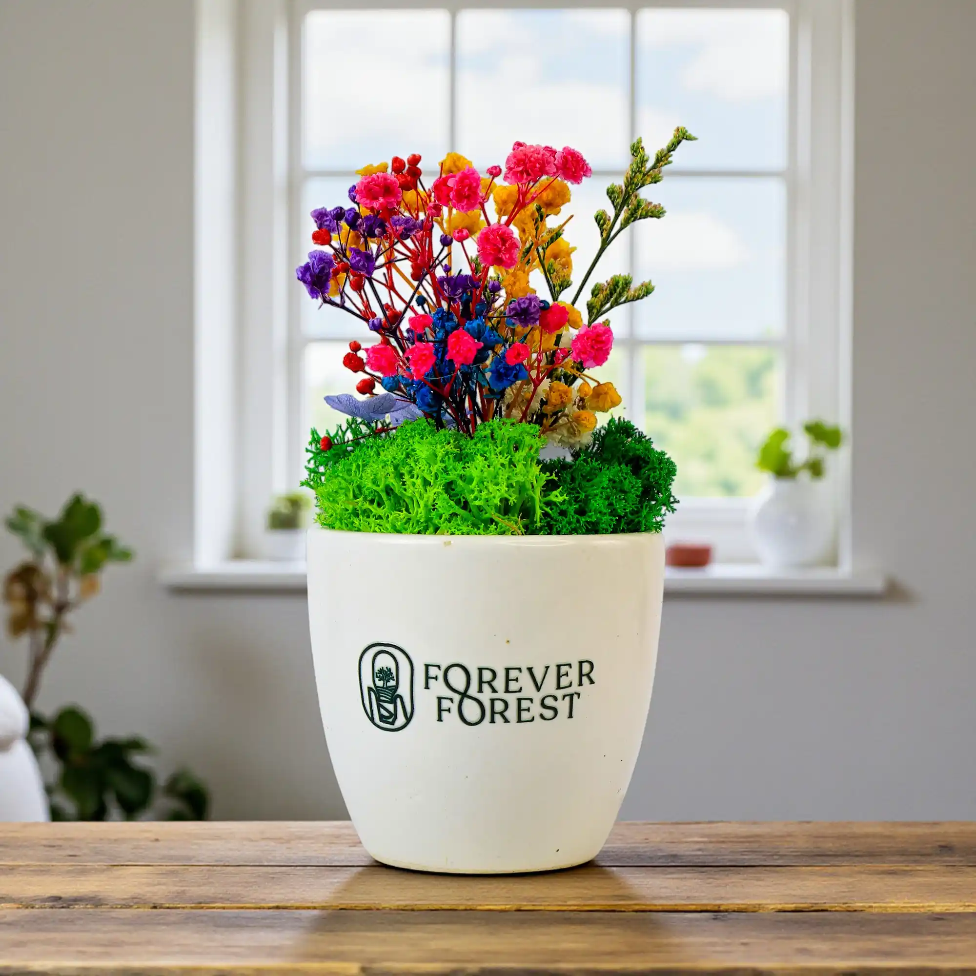 Ceramic Flower Pot, in use