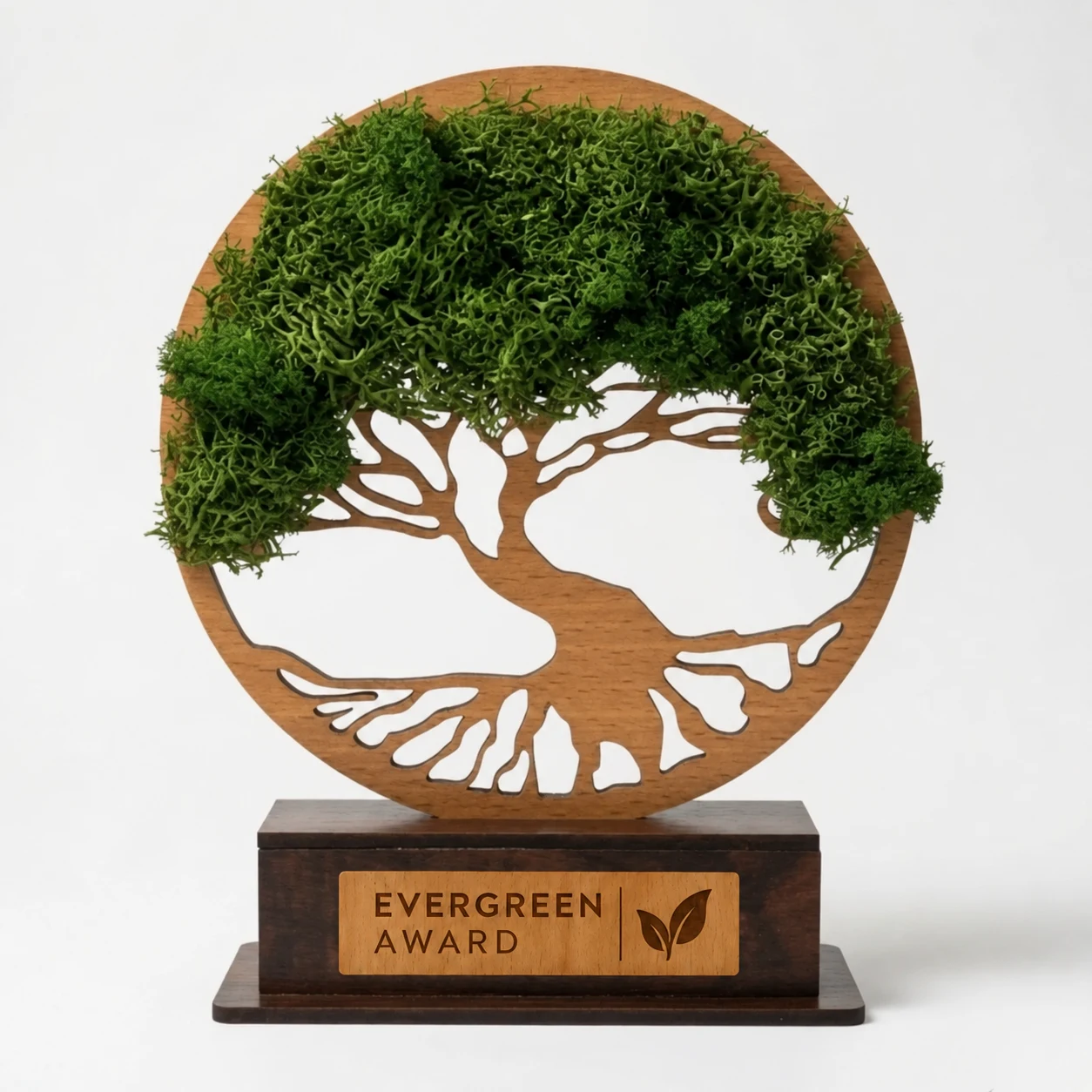 Forest Tree Award, 6 in, another view