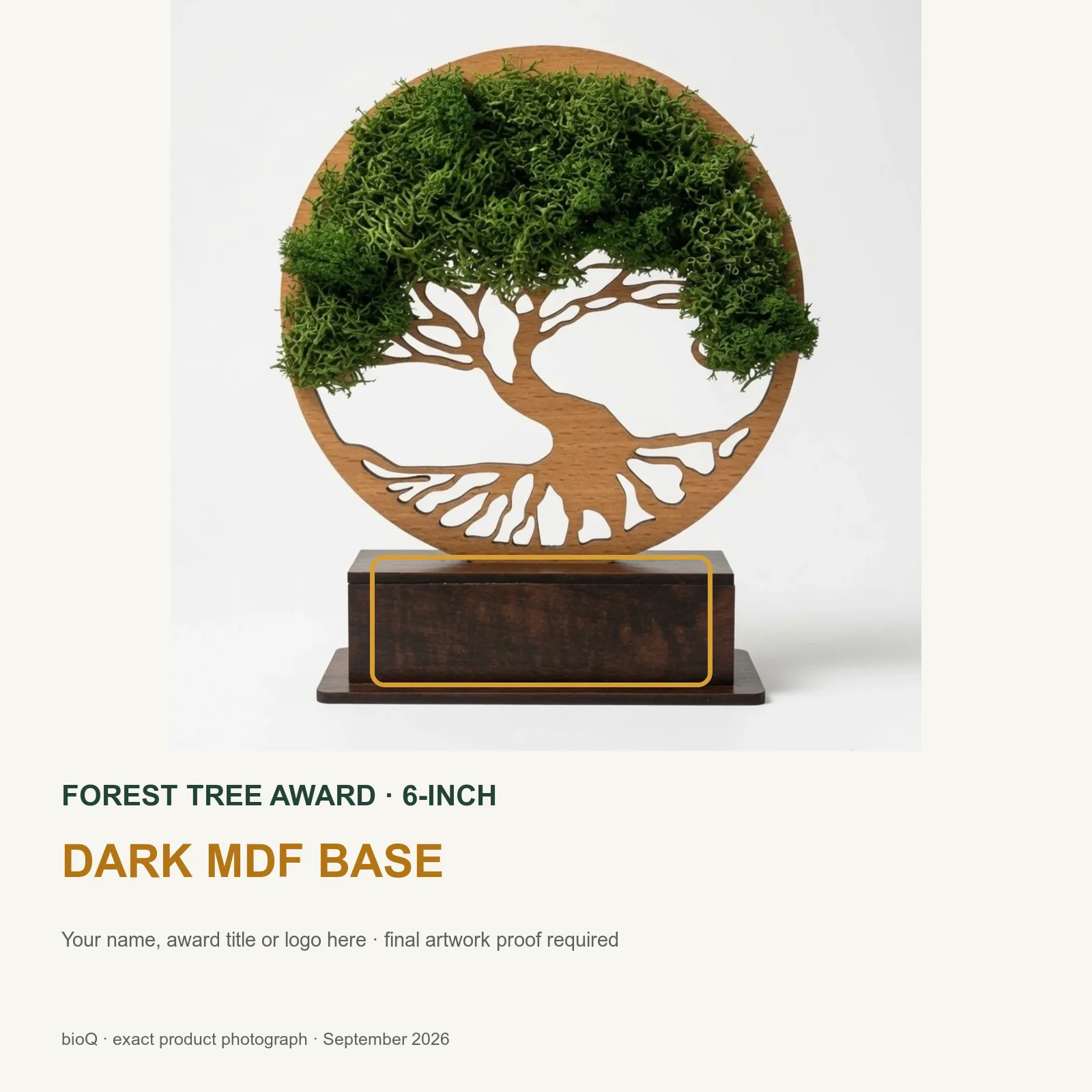 Personalisation area outlined on the dark base of the six-inch Forest Tree Award