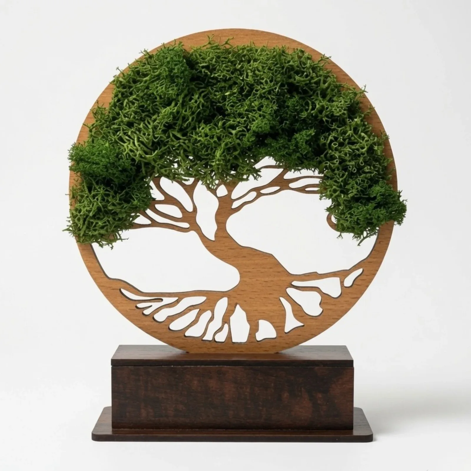 Studio front of the six-inch Forest Tree Award with preserved moss canopy and blank dark MDF base