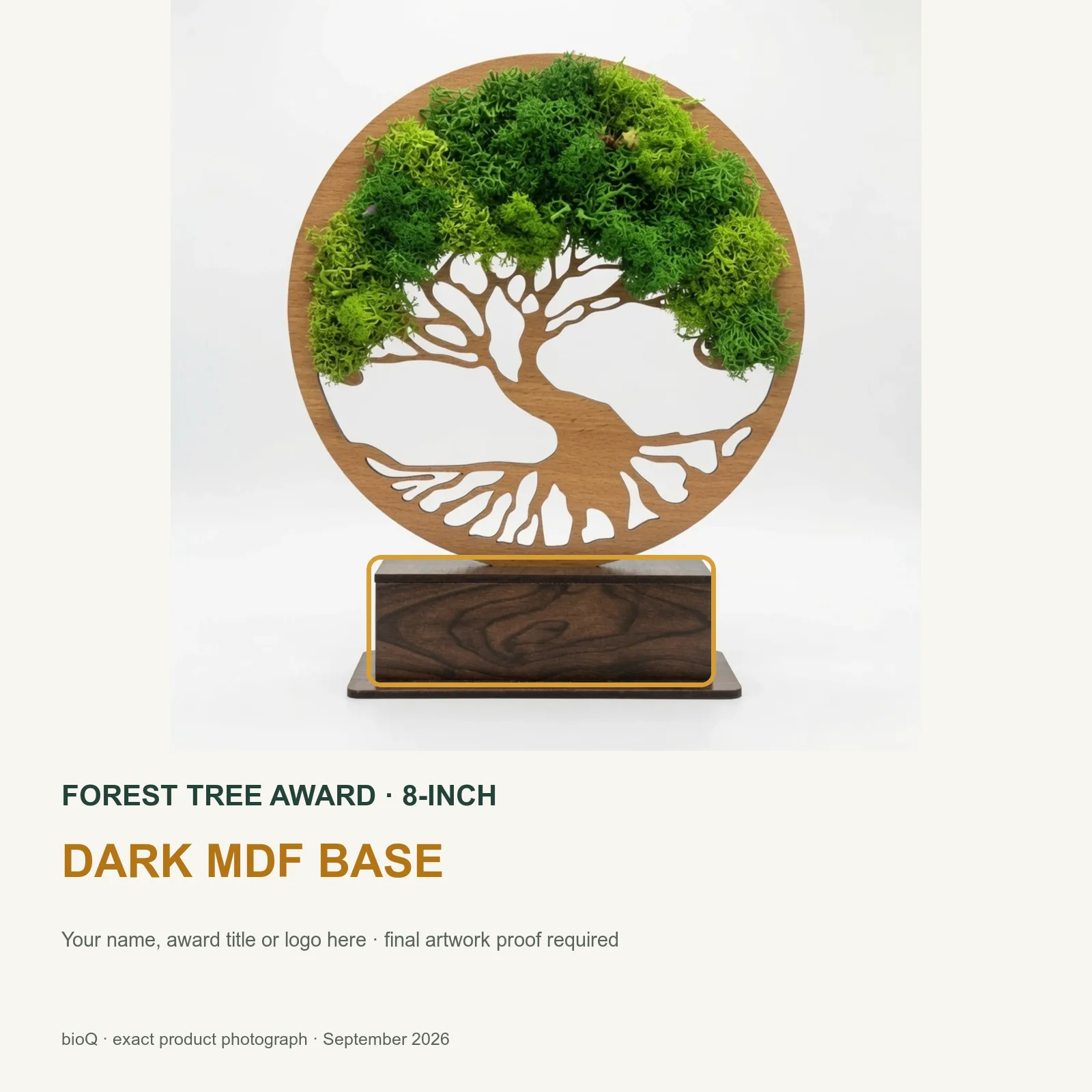 Personalisation area outlined on the dark base of the eight-inch Forest Tree Award