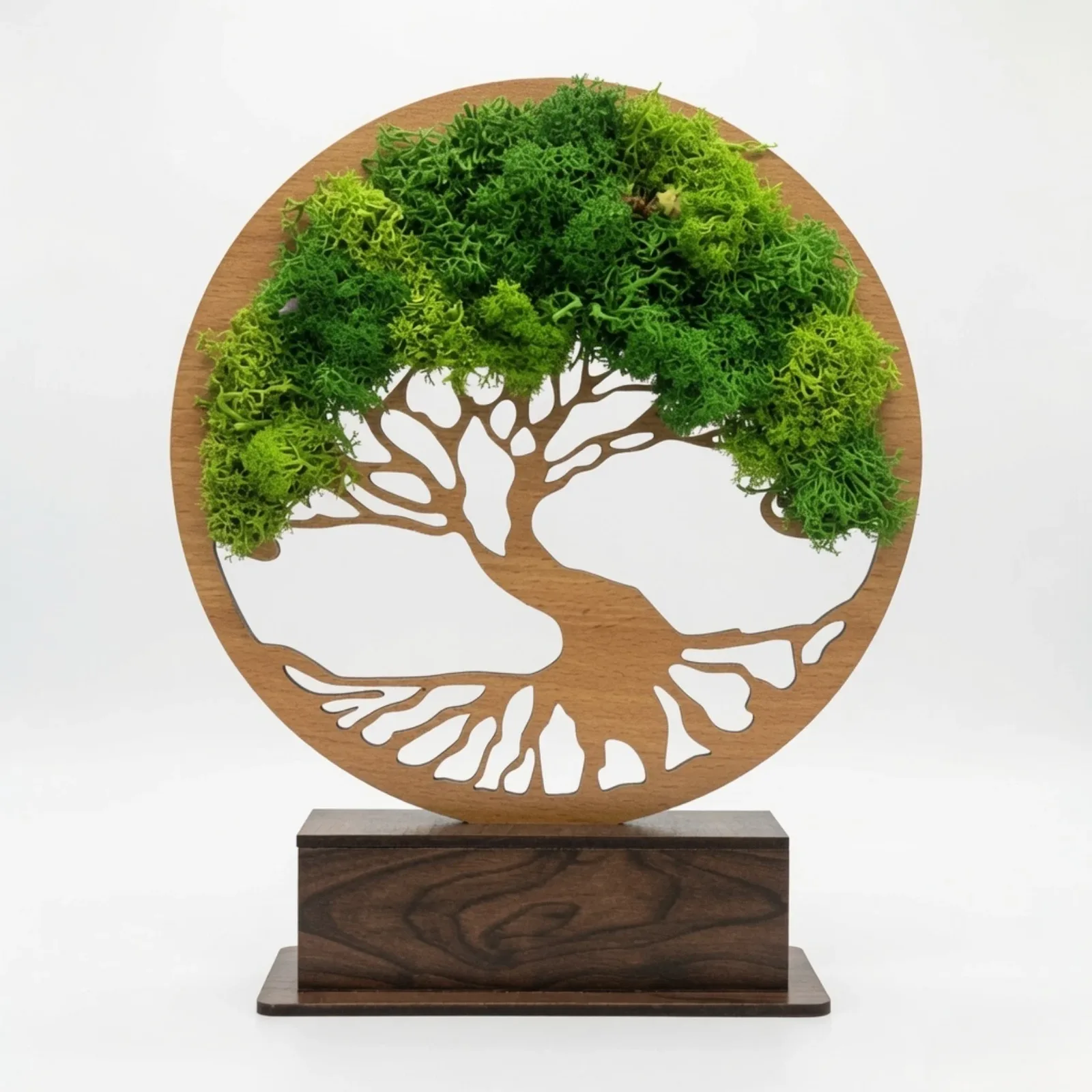 Studio front of the eight-inch Forest Tree Award with preserved moss canopy and unprinted dark MDF base