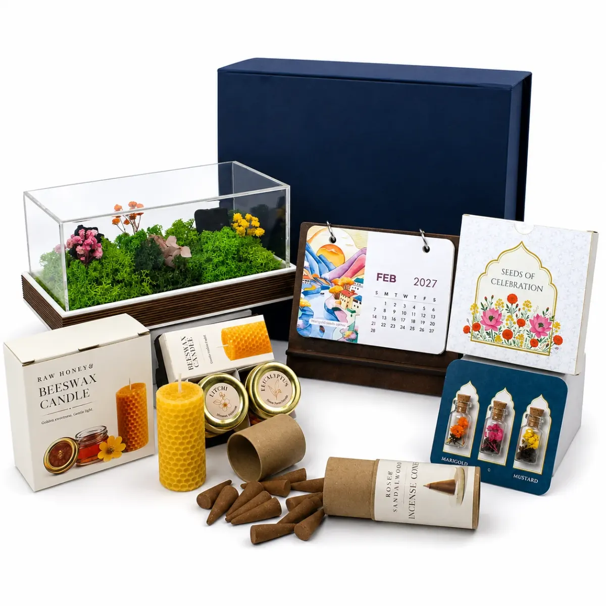 The Terrarium Box