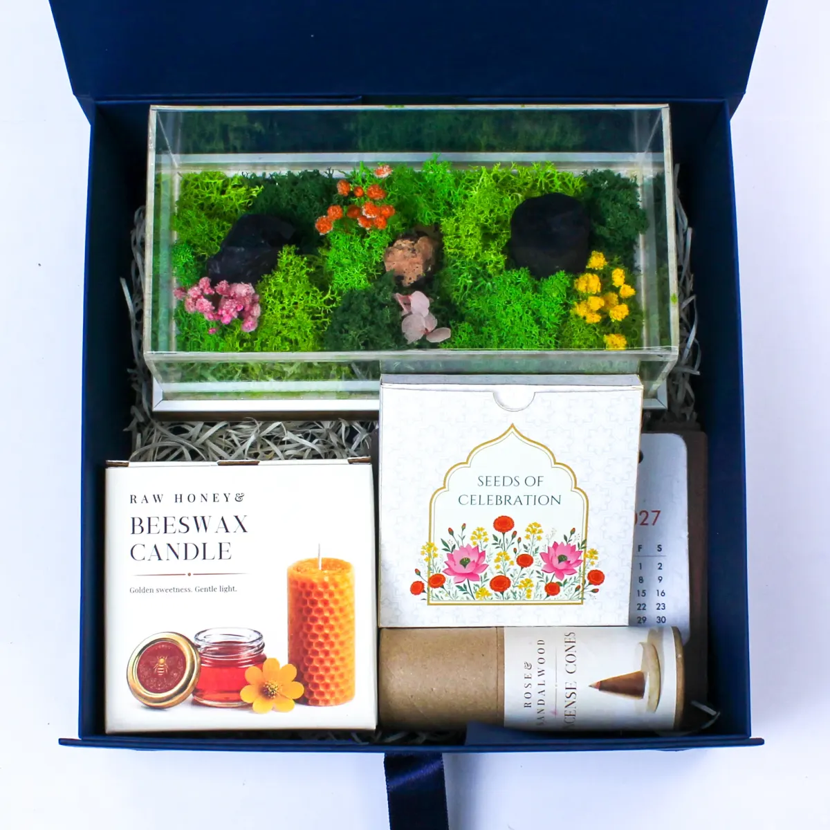 The Terrarium Box, another view