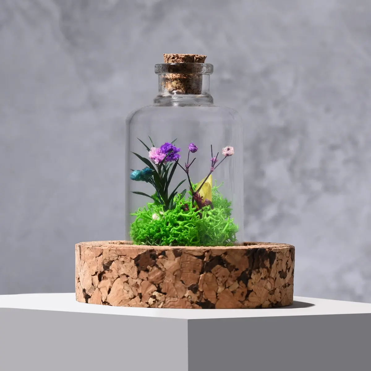 Forest Dome Mini, another view