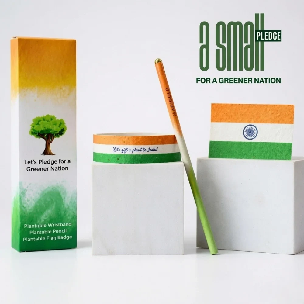 Independence Day Plantable Handout Kit, another view