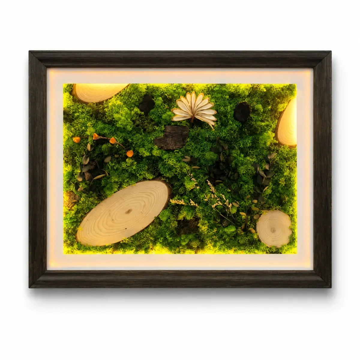 Illuminated Forest Symphony Wall Art