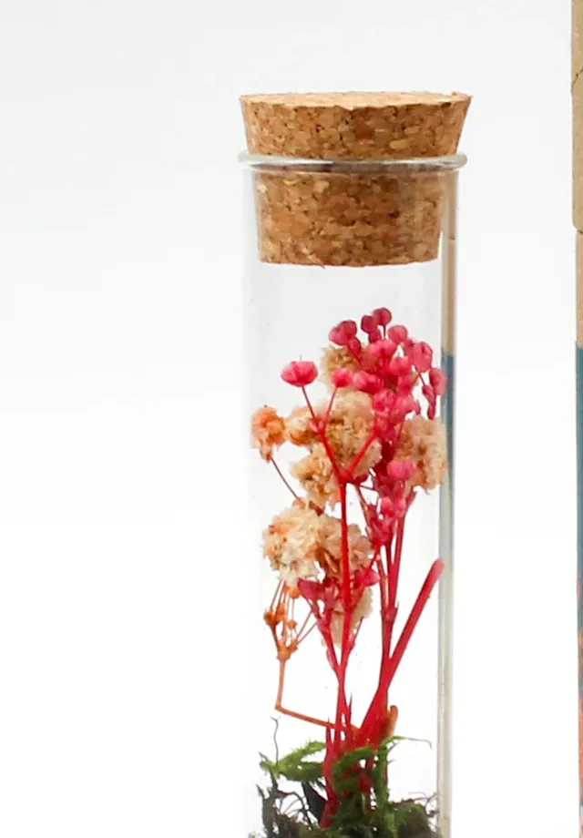 Close view of real preserved flowers and moss inside the tall glass Forest Stump bottle