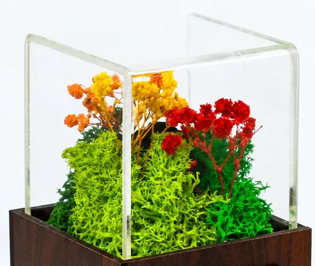 Close view through open-top acrylic of preserved moss and red, orange and yellow dried flowers in the Terra Award