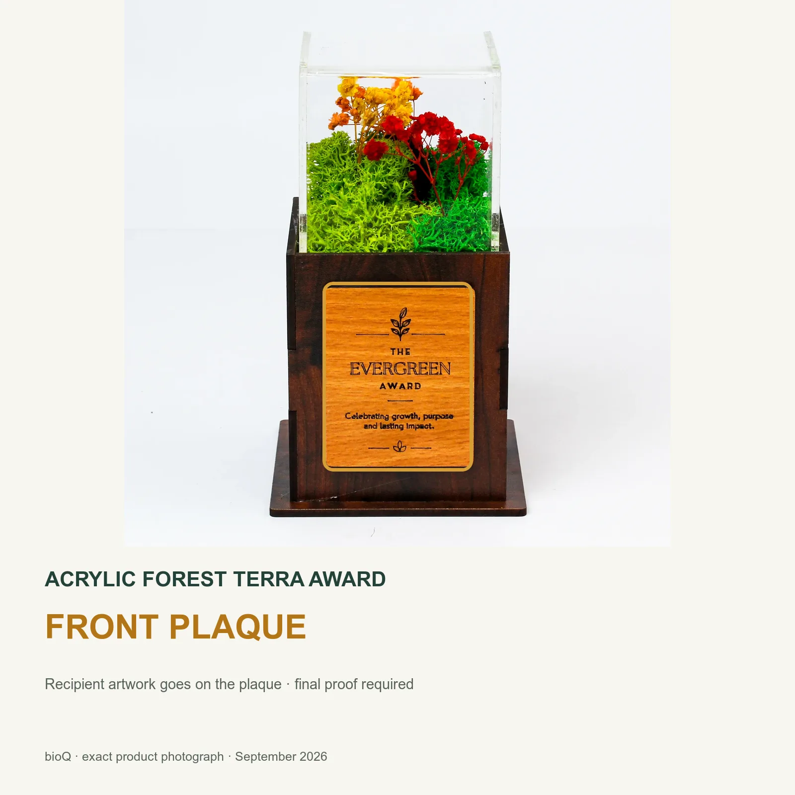 Front plaque outlined on the Acrylic Forest Terra Award with sample recipient artwork