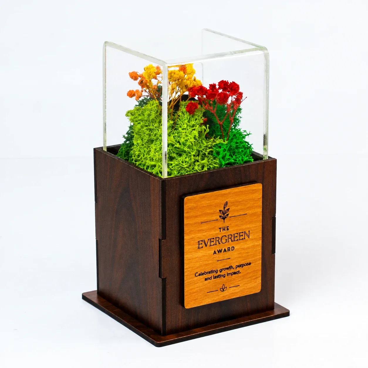 Angled Acrylic Forest Terra Award showing the dark MDF base, clear acrylic chamber and sample plaque position