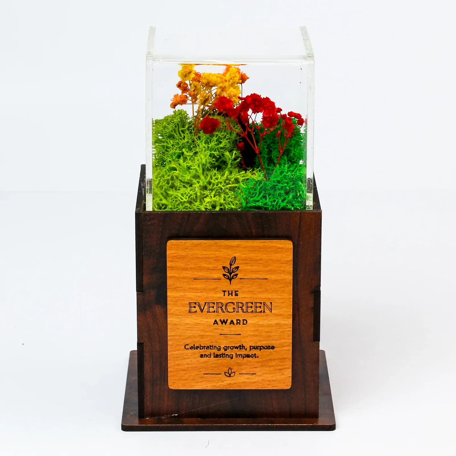 Front view of Acrylic Forest Terra Award with an acrylic chamber of moss and flowers and a sample front plaque