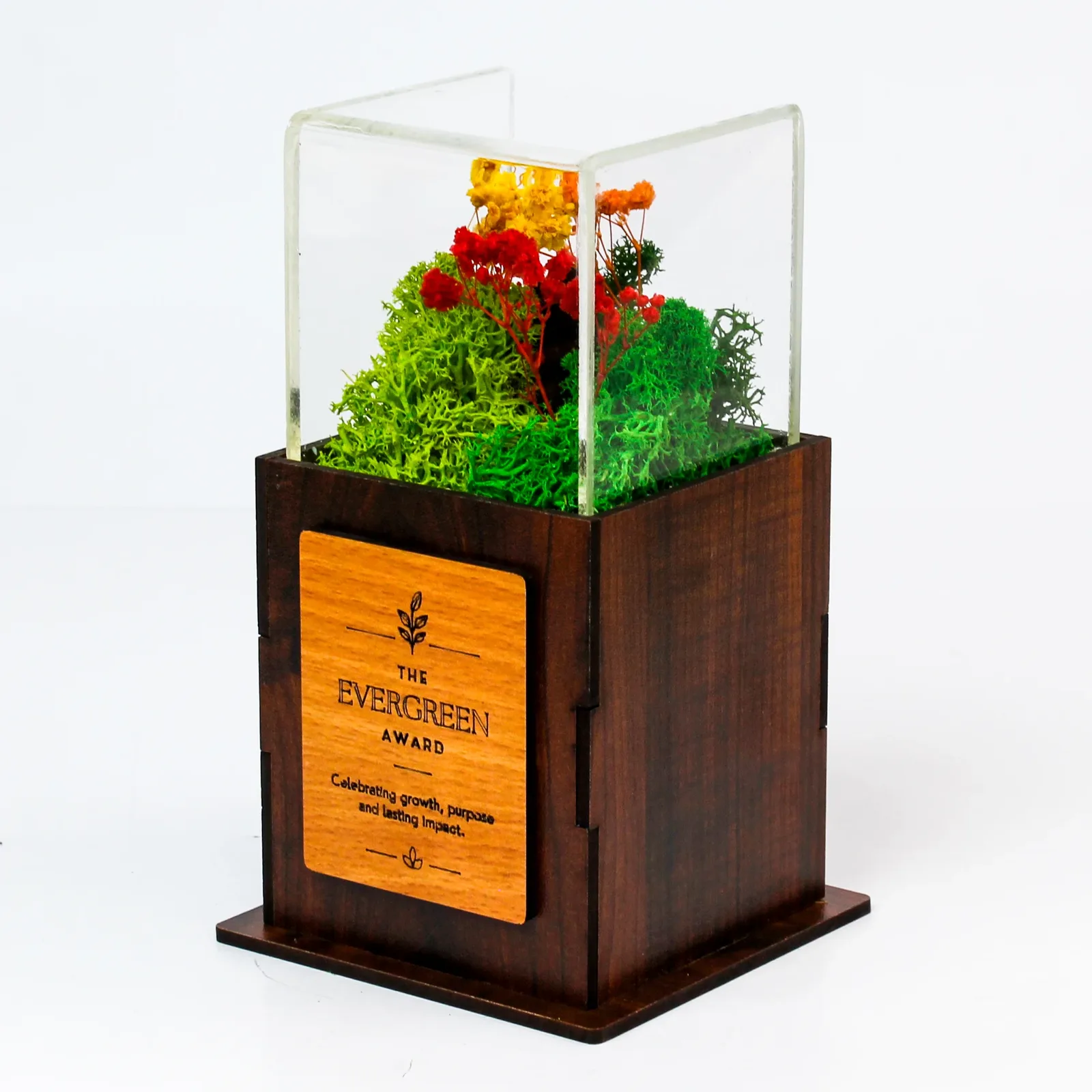 Side view of Acrylic Forest Terra Award with preserved moss under clear acrylic above a dark MDF base