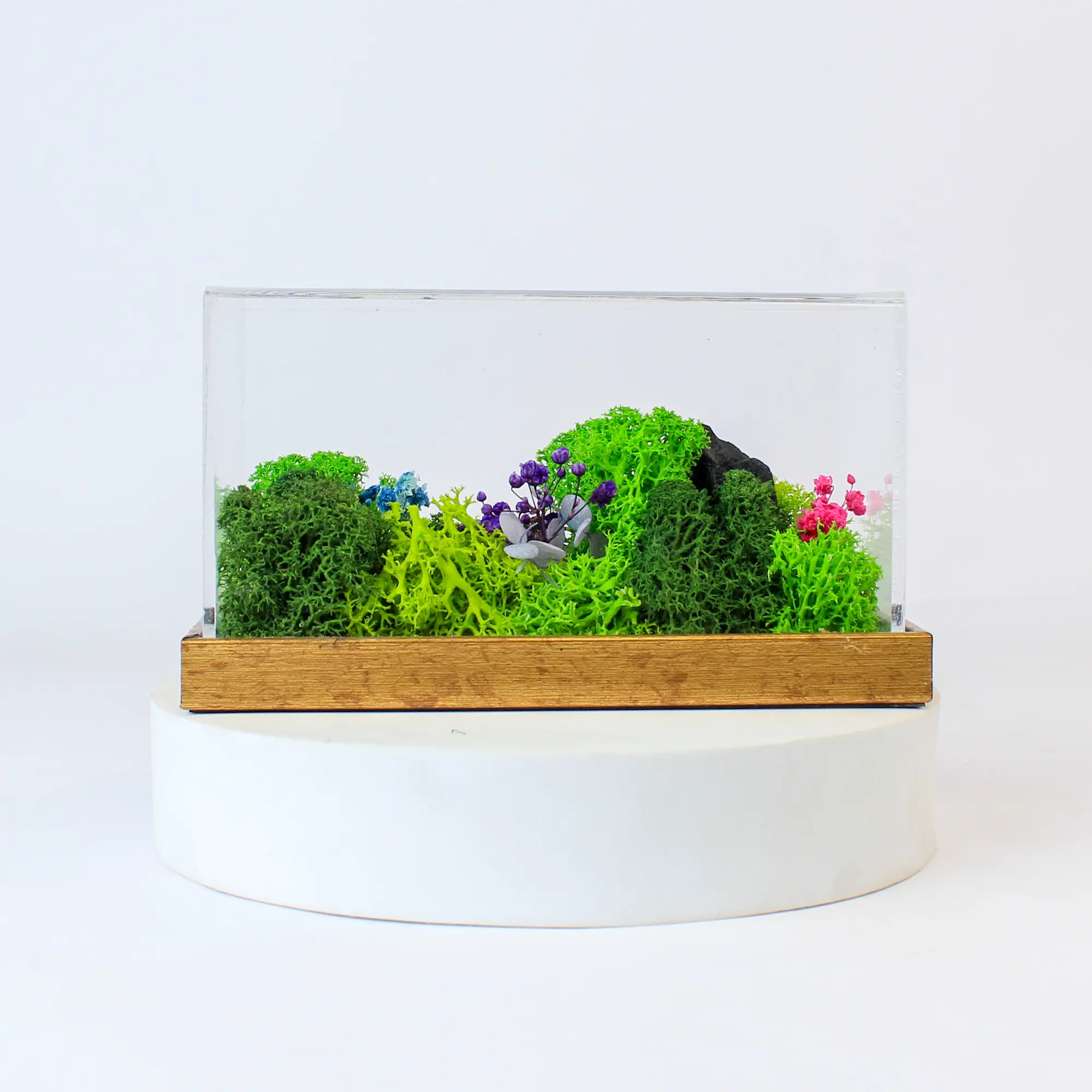 Forest Terrarium Landscape, 6 × 3 in, another view