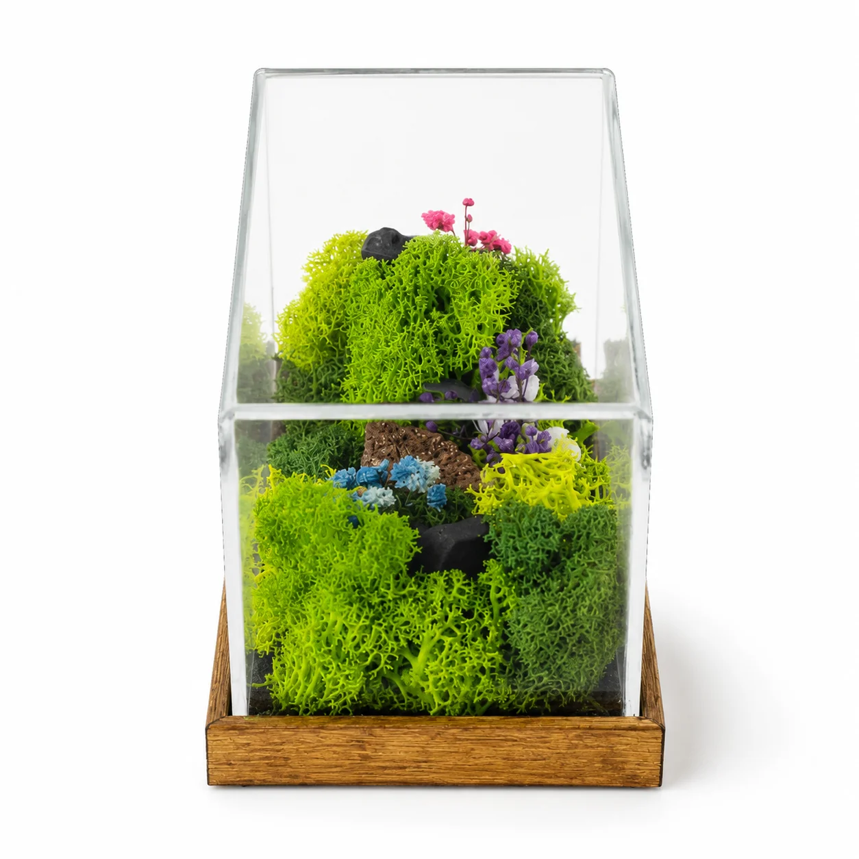 Forest Terrarium Landscape, 6 × 3 in, another view