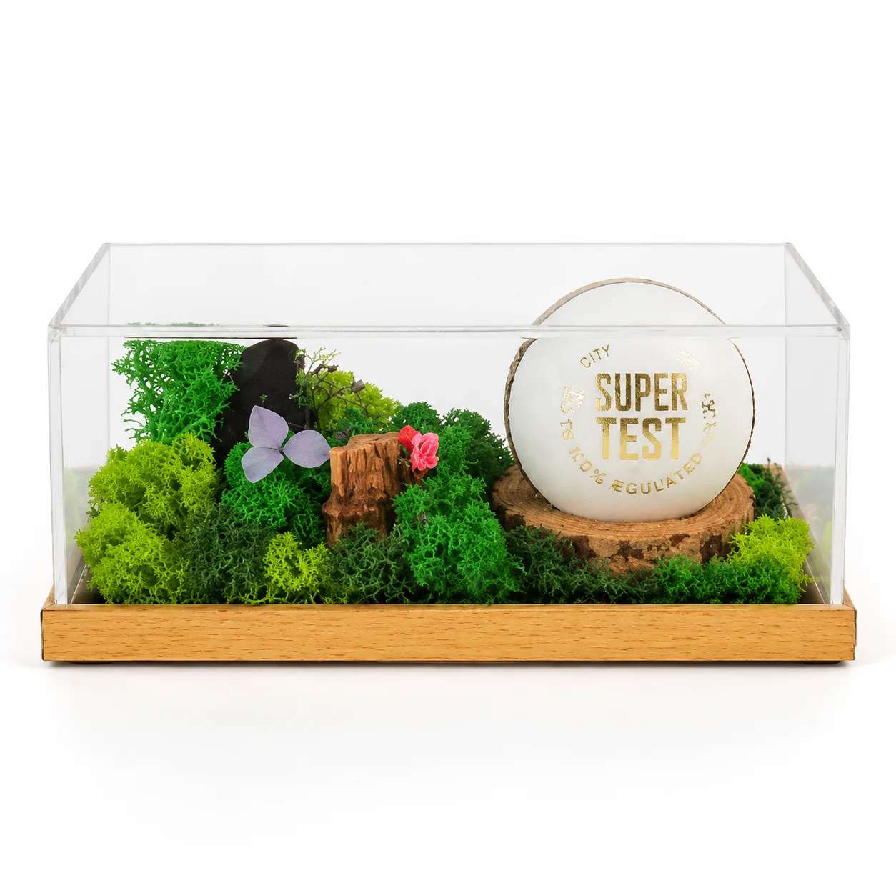 Forest Terrarium Around Your Object, 8 × 4 in, another view