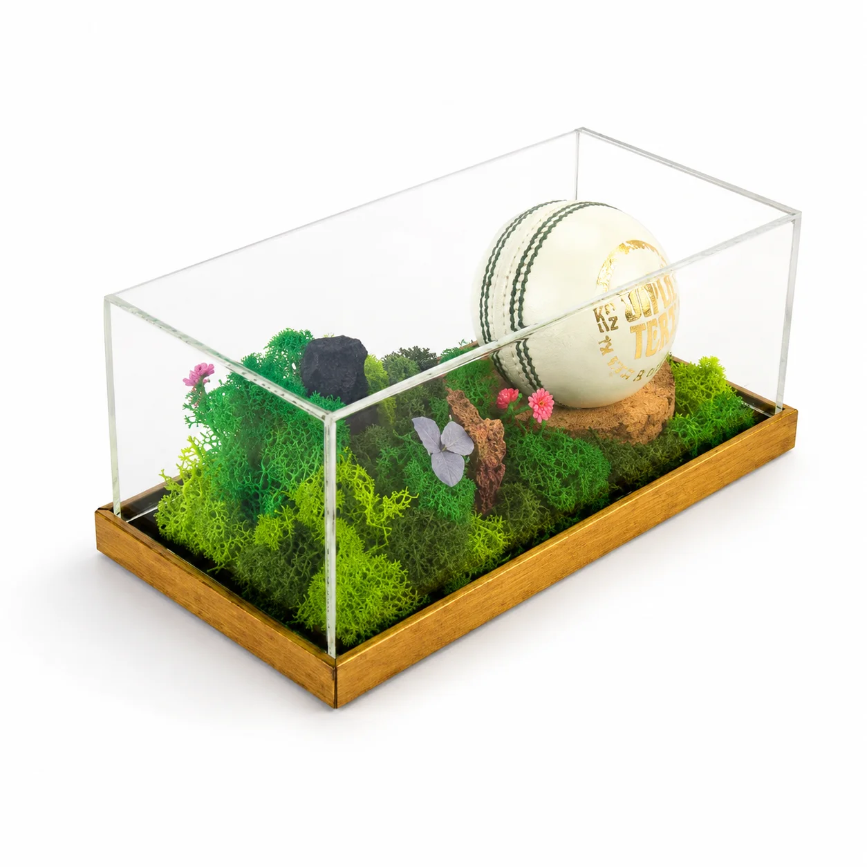 Forest Terrarium Around Your Object, 8 × 4 in, another view