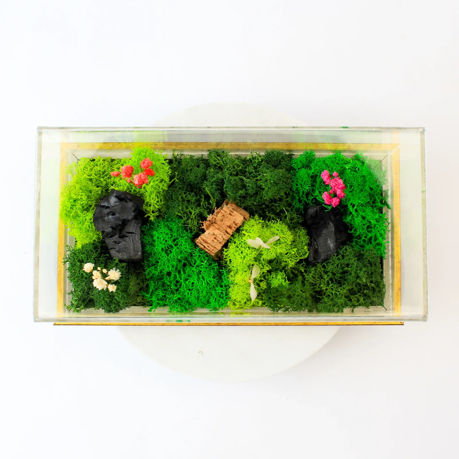 Overhead view through the acrylic cover of preserved moss, small flowers and dark forest accents