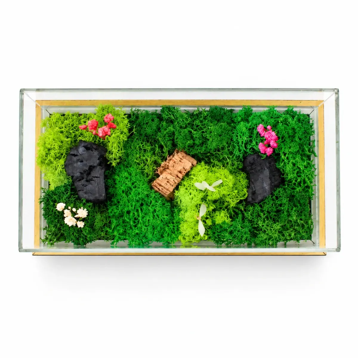 Forest Terrarium Landscape, another view