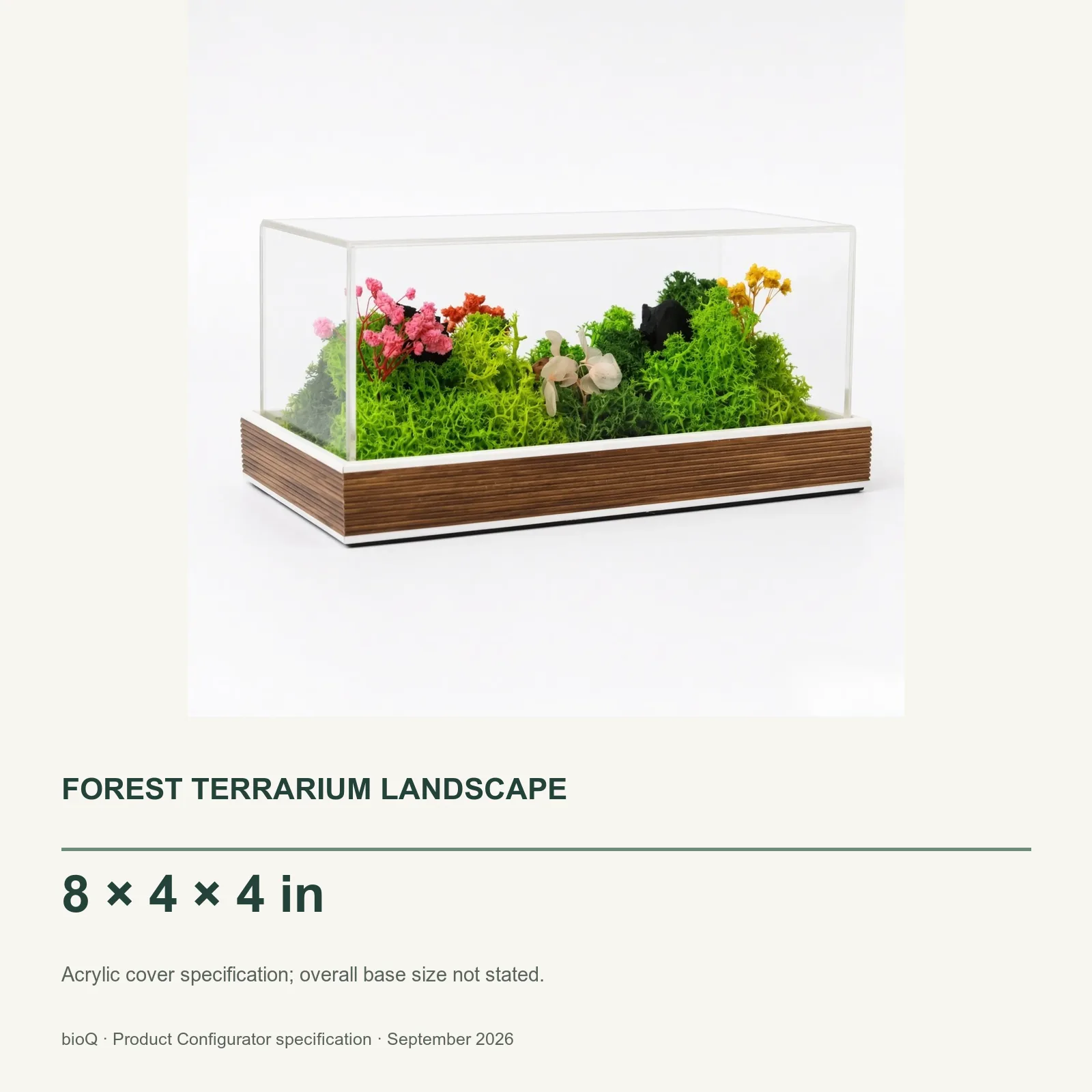 Forest Terrarium Landscape size card showing an eight by four by four inch acrylic cover
