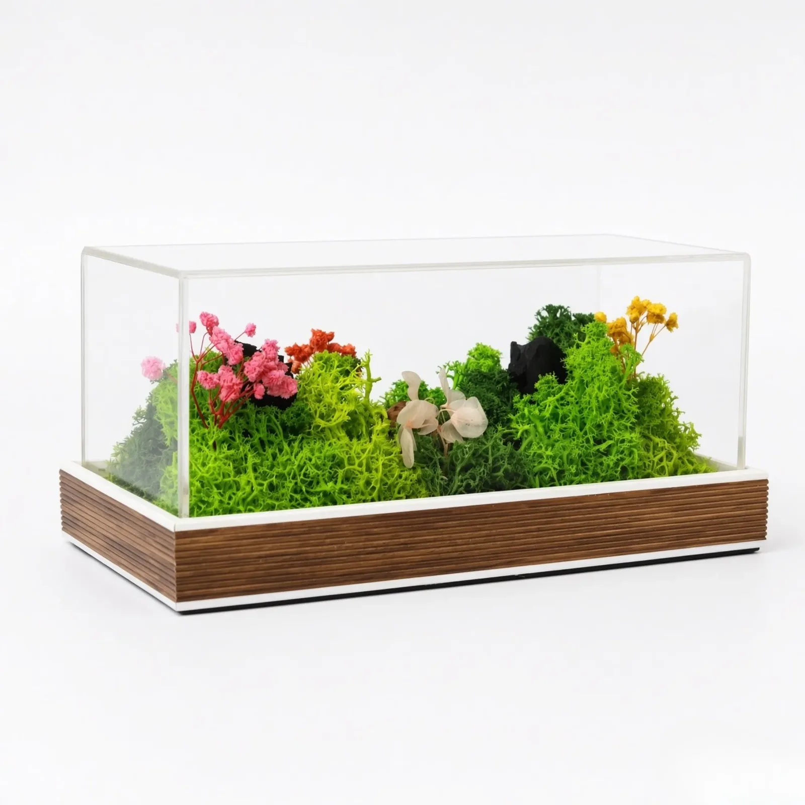 Front-angle inspection photograph of the Forest Terrarium Landscape and its ribbed brown recycled-polymer base