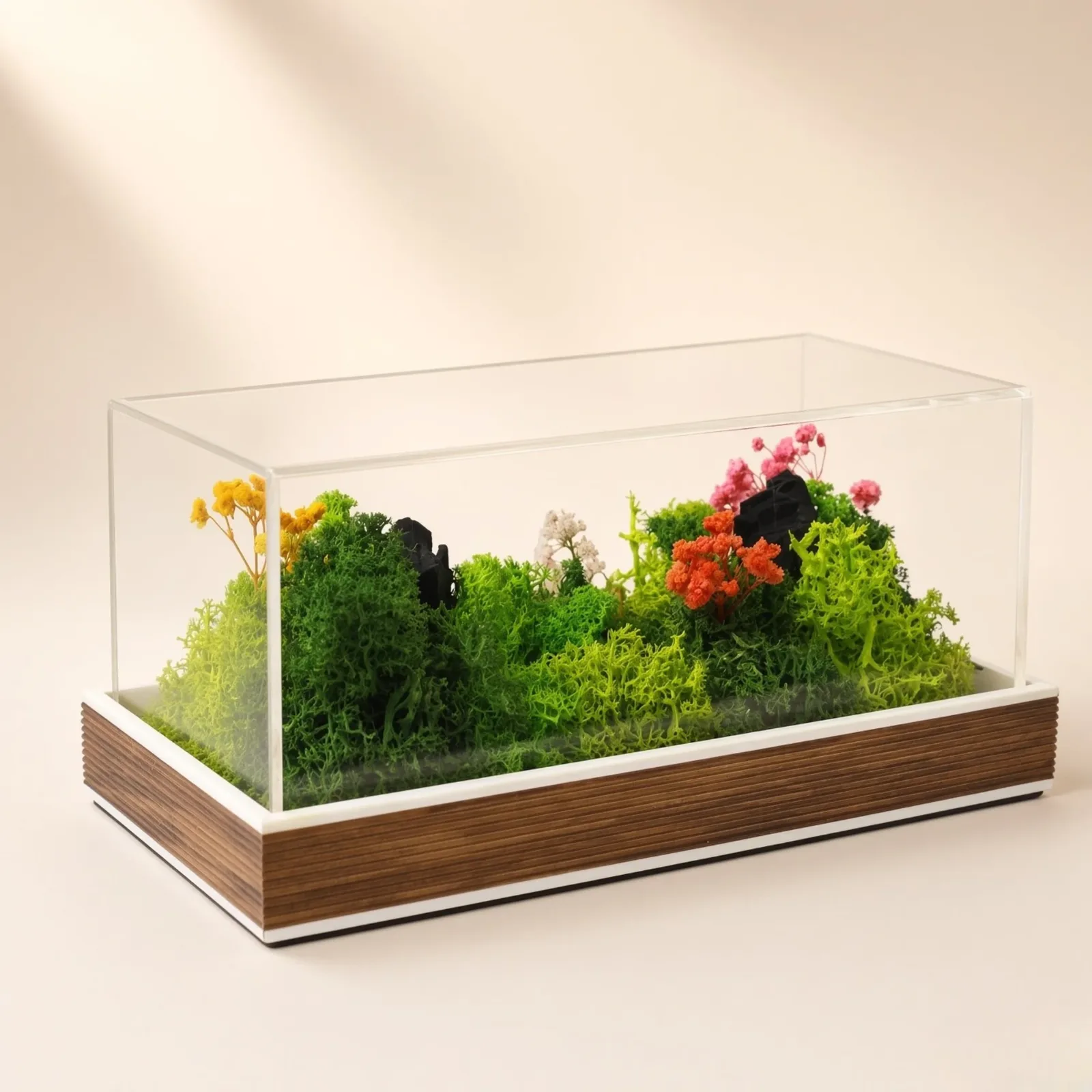 Side-angle photograph of Forest Terrarium Landscape showing the acrylic cover and brown ribbed base