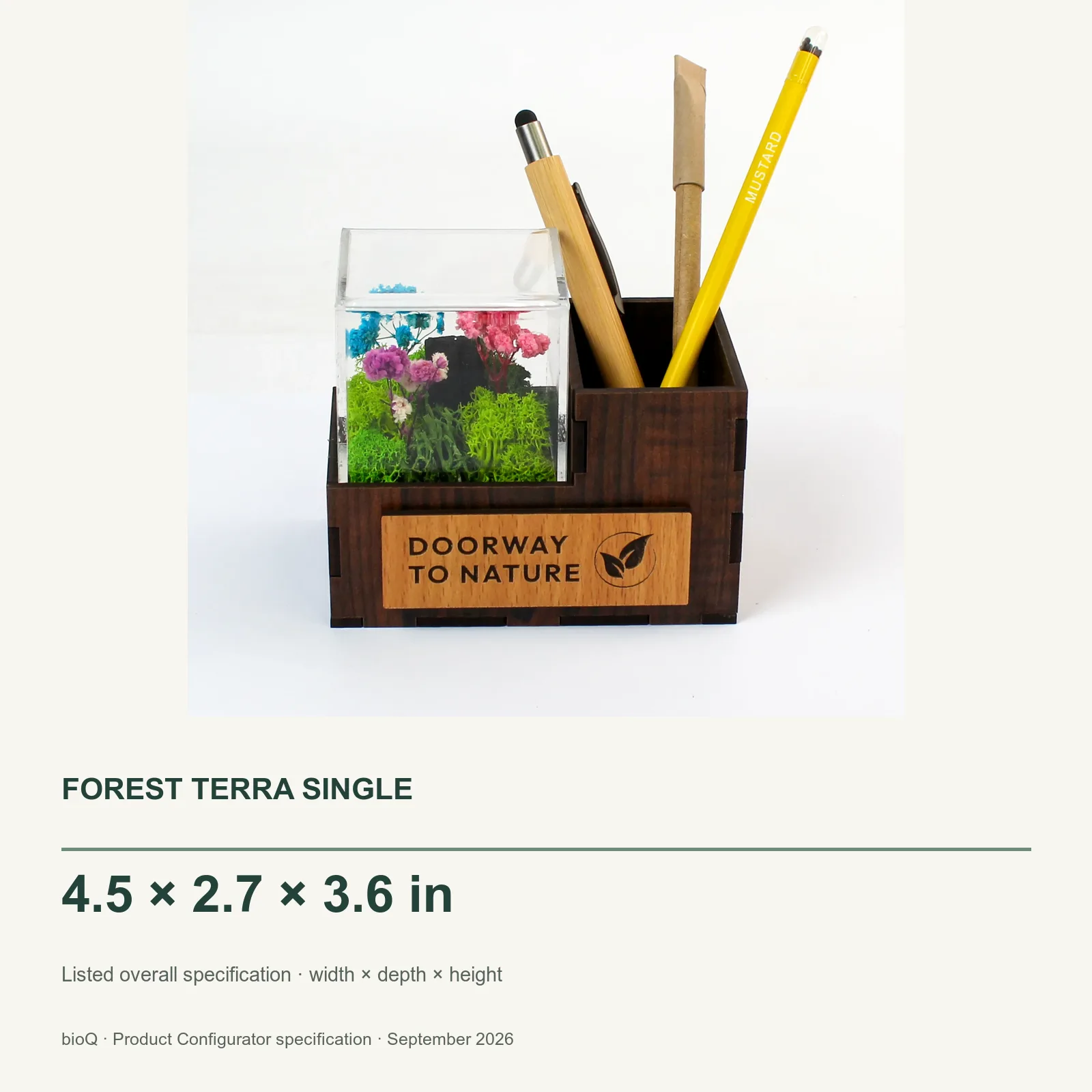 Forest Terra Single size card showing 4.5 by 2.7 by 3.6 inches with product photograph