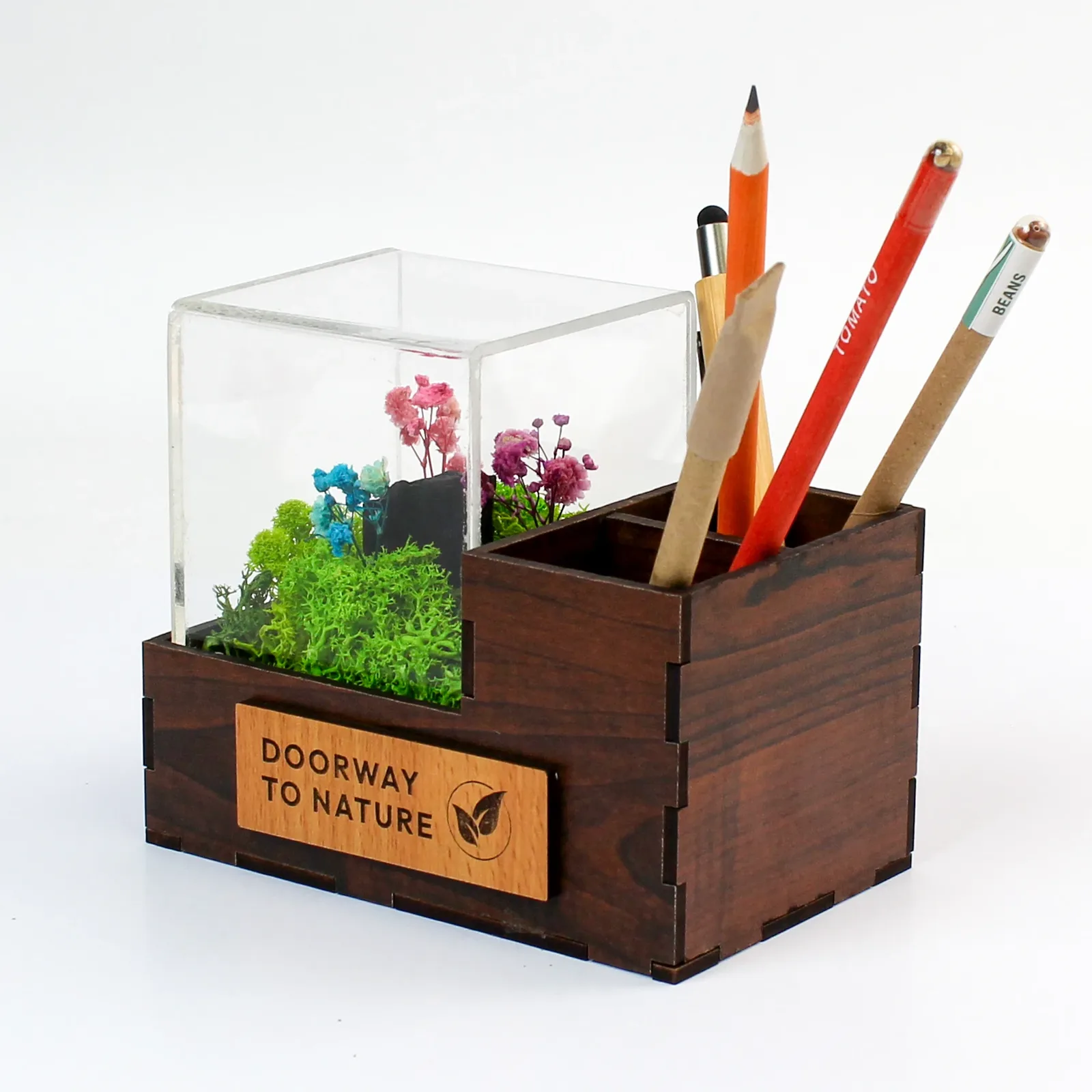 Front angle of the Forest Terra Duo Pen Stand in dark MDF with a clear acrylic preserved-botanical display