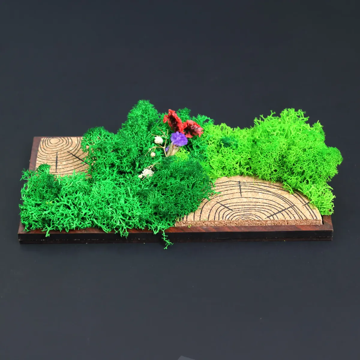 Forest Tile Panorama, 8 × 4 in, another view
