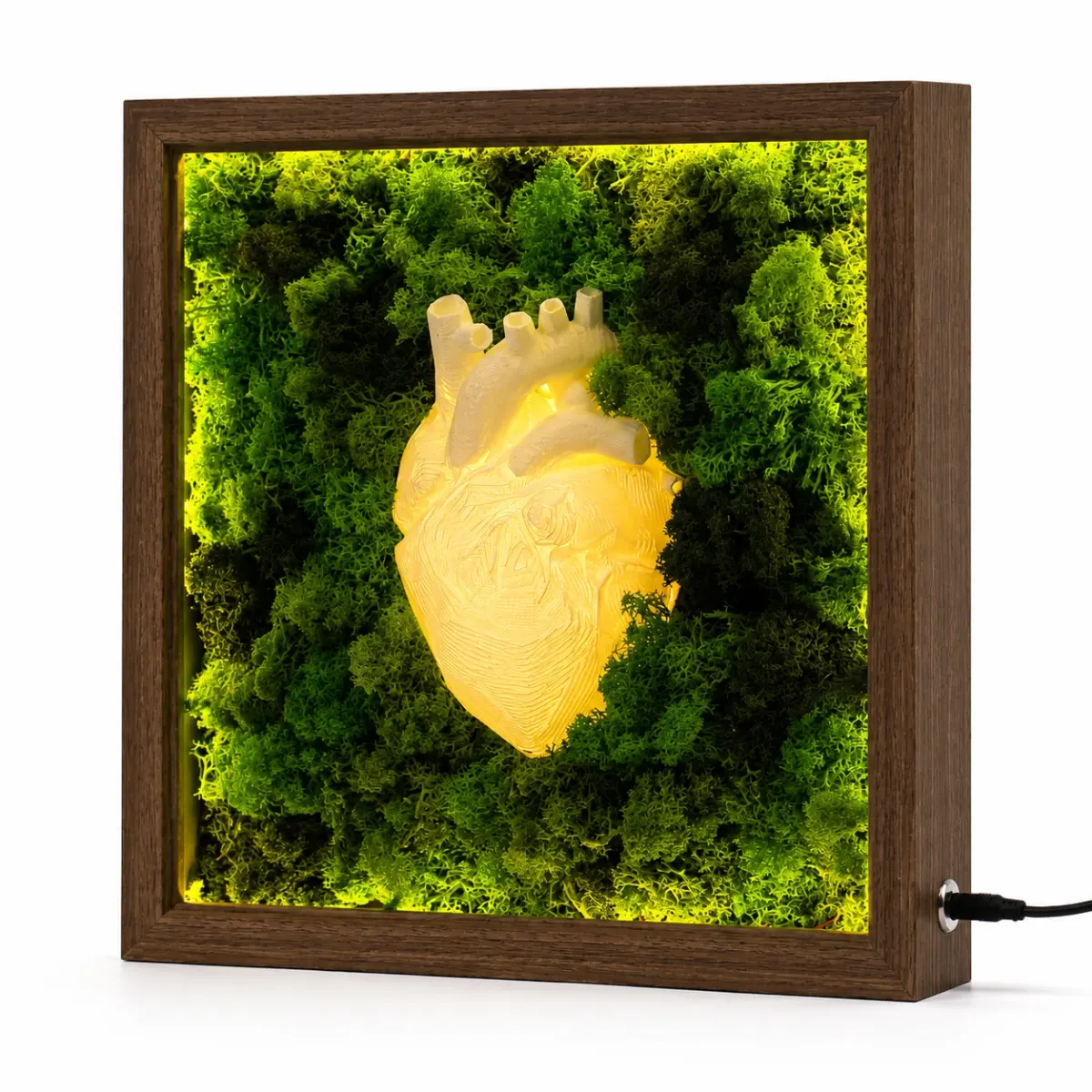 Illuminated Moss Heart Frame