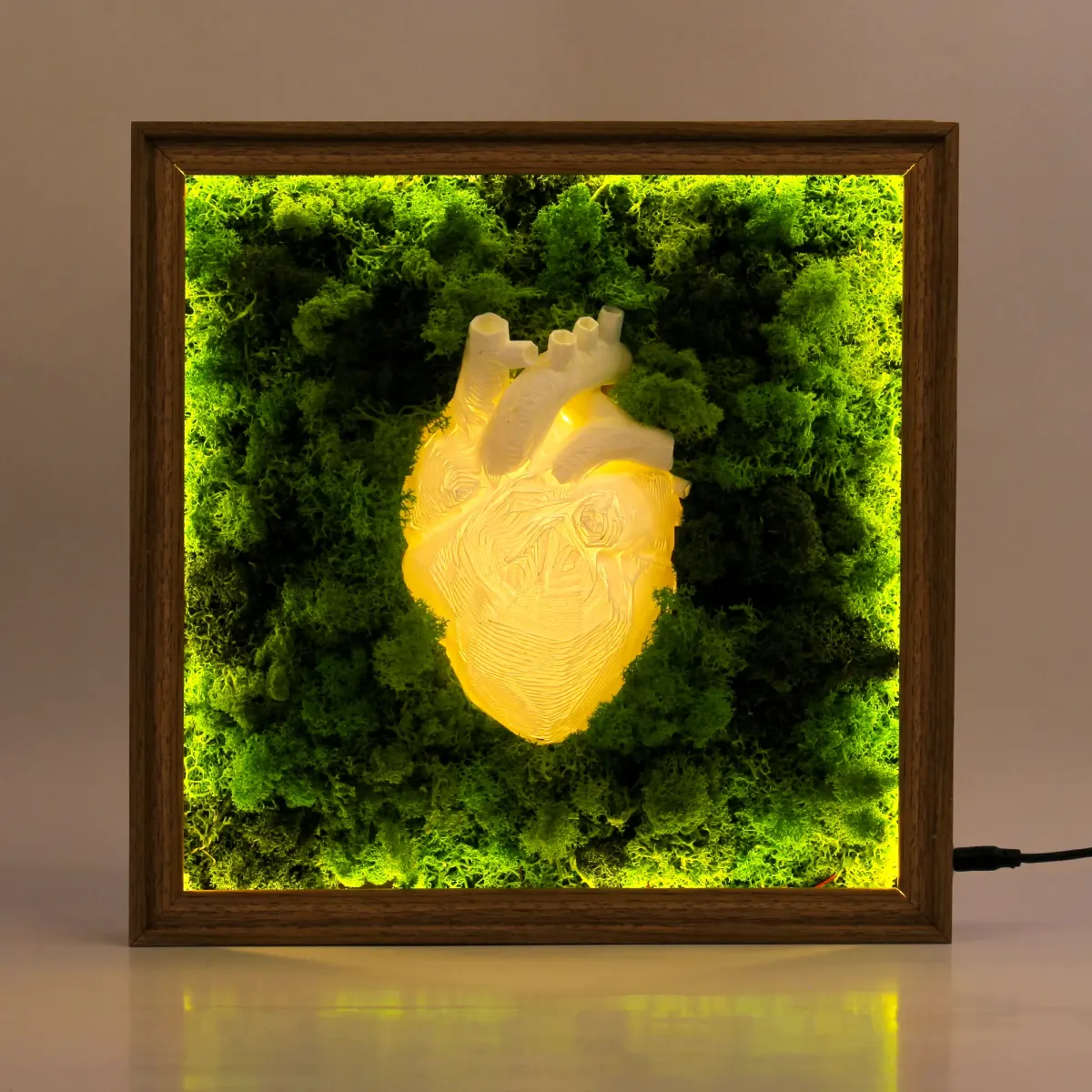 Illuminated Moss Heart Frame, another view