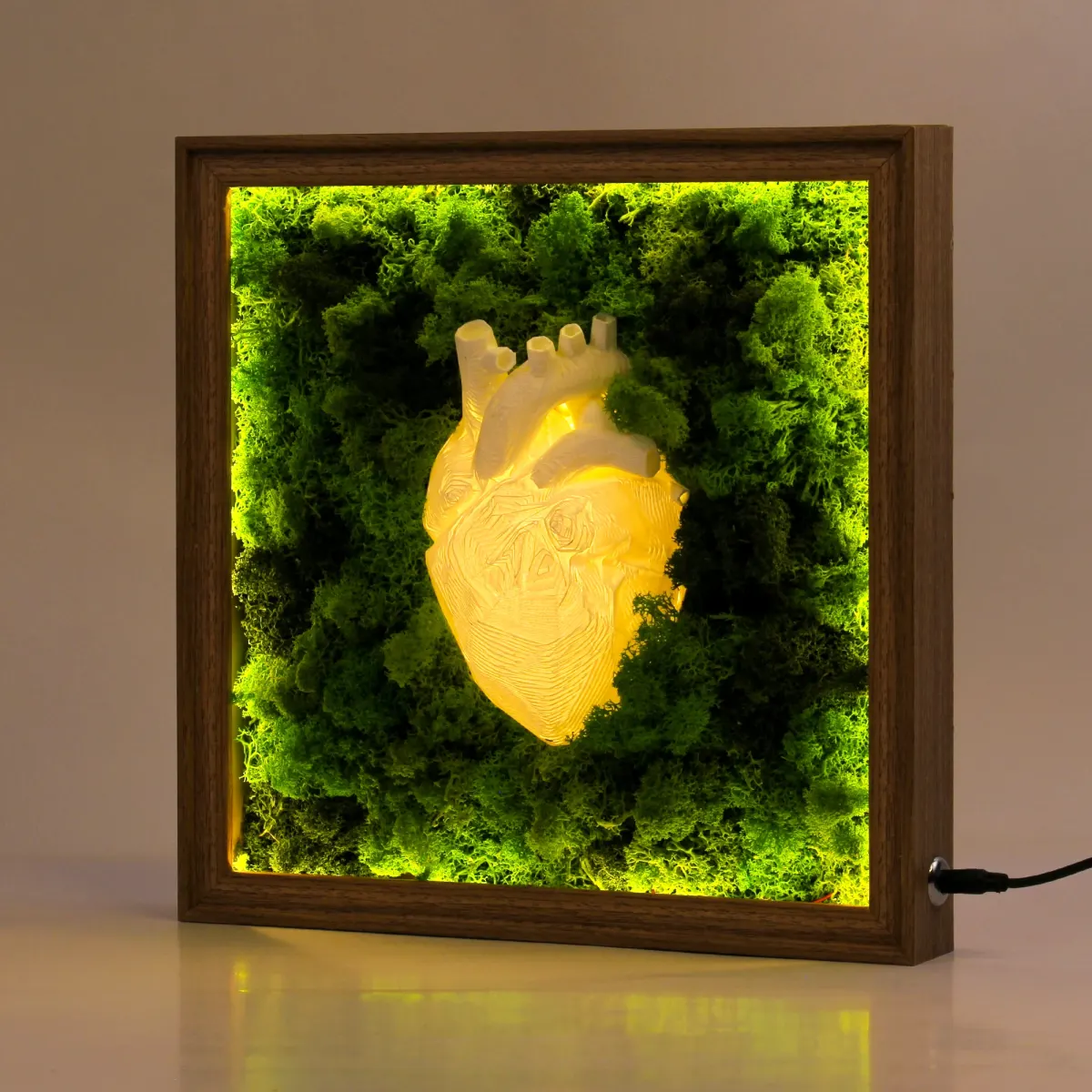 Illuminated Moss Heart Frame, another view