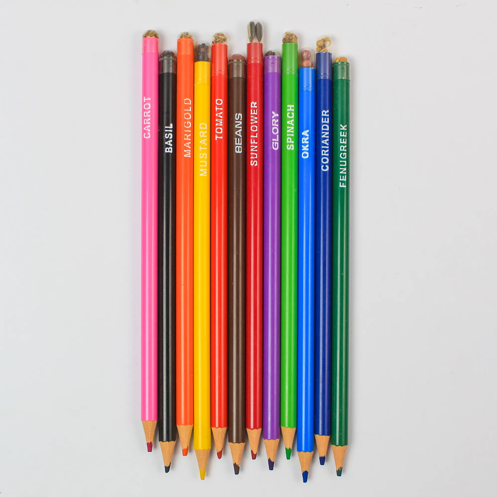 Plantable Colour Pencils, Set of 12, another view