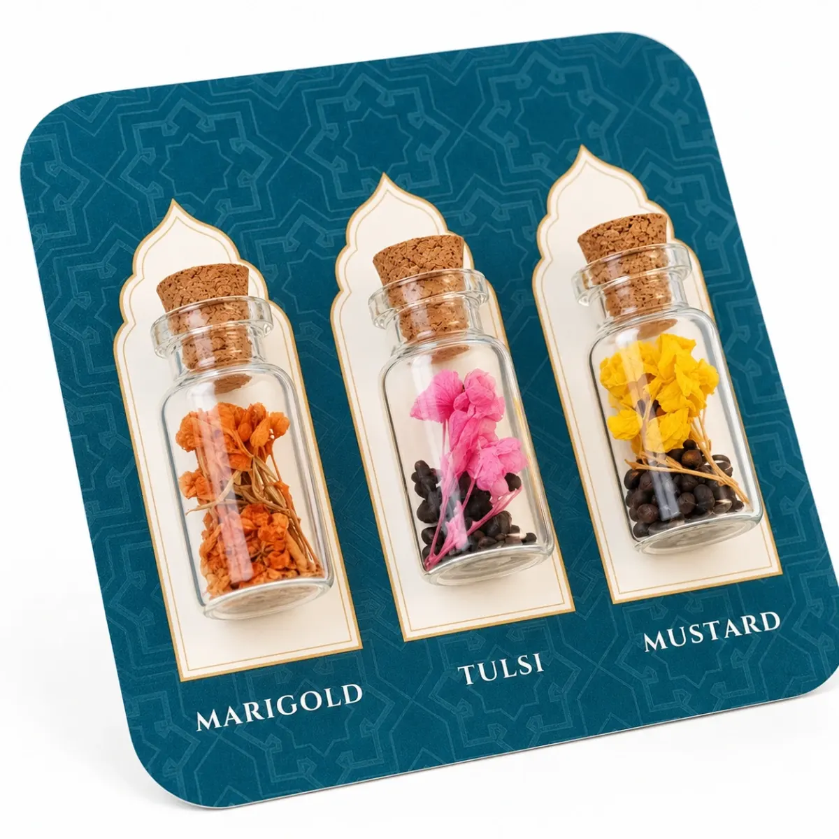 Seeds of Celebration, 3 Seed Bottles, another view